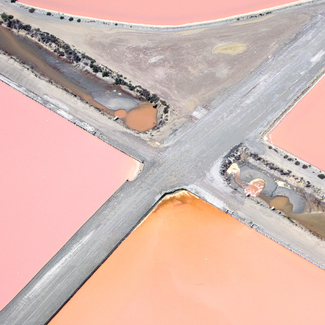 X Color Awards Winners and Nominees