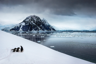 Immensity Color Awards Winners and Nominees