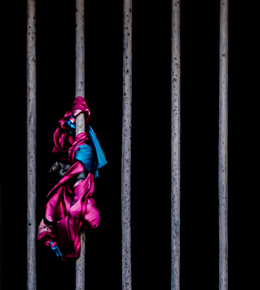 The knot Color Awards Winners and Nominees