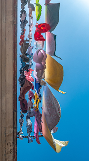 LAUNDRY Color Awards Winners and Nominees