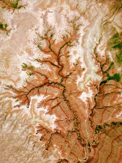 Tributaries Color Awards Winners and Nominees