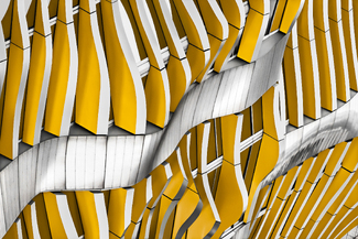 Amorphia Color Awards Winners and Nominees