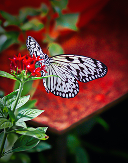 At Rest Color Awards Winners and Nominees