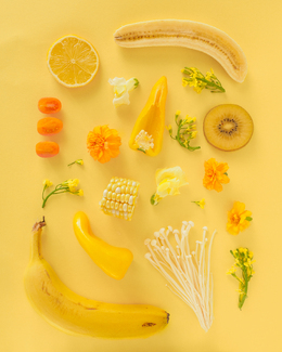 Le Jaune Color Awards Winners and Nominees