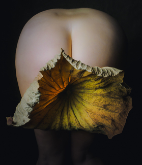 Nude with lotus leaf Color Awards Winners and Nominees