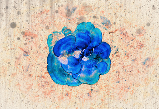 Natural Indigo Color Awards Winners and Nominees