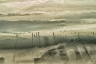 Ghosts in the fog Color Awards Winners and Nominees