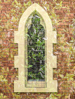 Religion Overgrown Color Awards Winners and Nominees