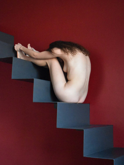 Suppellettile Color Awards Winners and Nominees