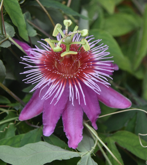 One Day Miracle Color Awards Winners and Nominees