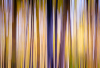 On A Streak Color Awards Winners and Nominees