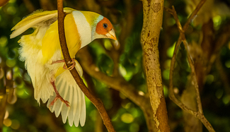 Finch on Her Perch Color Awards Winners and Nominees