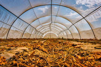 After the Harvest Color Awards Winners and Nominees