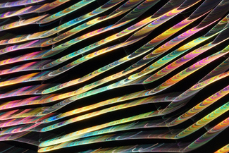 Spiders web #2 Color Awards Winners and Nominees