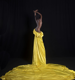 Lady In Yellow Color Awards Winners and Nominees