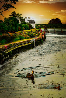 Placid Color Awards Winners and Nominees