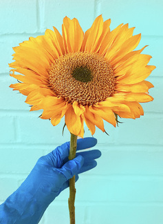 Out of the Blue Color Awards Winners and Nominees