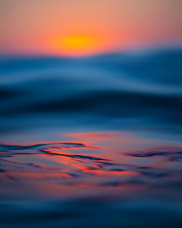 The Ocean is Lava Color Awards Winners and Nominees