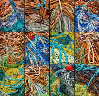 Coastal Lines Color Awards Winners and Nominees