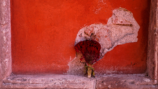 Remembrance Color Awards Winners and Nominees