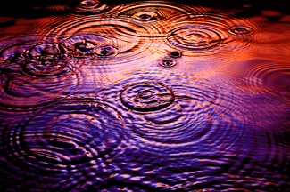 Ripples Color Awards Winners and Nominees