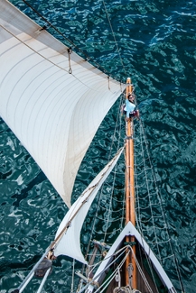 Before The Bow Color Awards Winners and Nominees