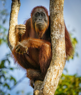 You Looking at Me? Color Awards Winners and Nominees