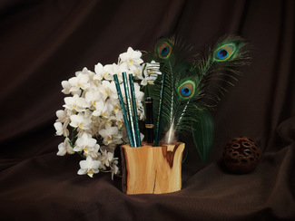 Stifthirt #11 - White Orchid Color Awards Winners and Nominees