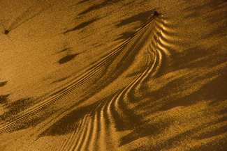 Ferry boat Color Awards Winners and Nominees