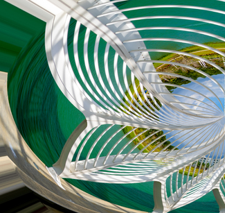 Bird Cage Color Awards Winners and Nominees