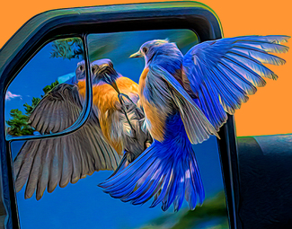 Protecting the Nest Color Awards Winners and Nominees