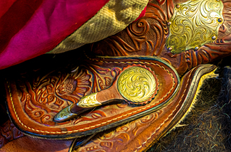 Blazing Saddles Color Awards Winners and Nominees