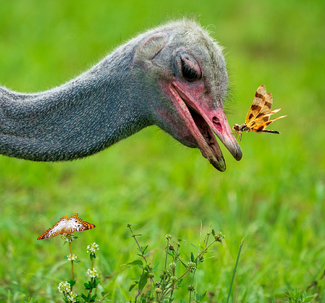 Touchdown Color Awards Winners and Nominees