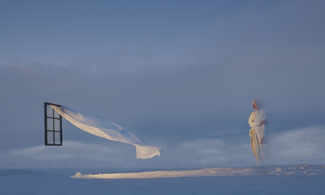 wind coming though the window Color Awards Winners and Nominees