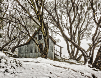 To and Fro Color Awards Winners and Nominees