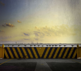 Birds in line Color Awards Winners and Nominees