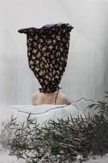 vanbeveren-jisca_ownbackyard2 Color Awards Winners and Nominees