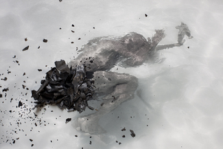 vanbeveren-jisca_amniotic fluid Color Awards Winners and Nominees