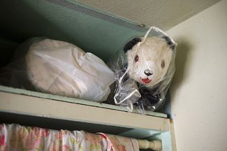 Bag Bear Color Awards Winners and Nominees