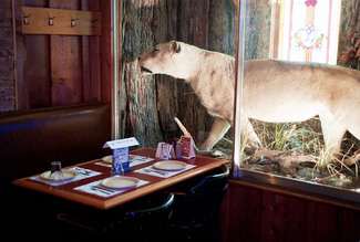 Lion Table Color Awards Winners and Nominees