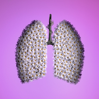 Lungs Color Awards Winners and Nominees