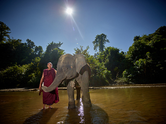 My Friend! Color Awards Winners and Nominees