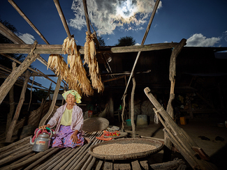 Waiting for Lunch Time Color Awards Winners and Nominees