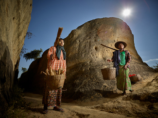 On the Way to the Market Color Awards Winners and Nominees