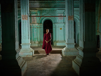 The Mint Hall Color Awards Winners and Nominees