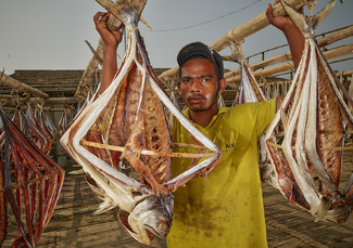 Bangladesh, Cox Basar #2 Color Awards Winners and Nominees