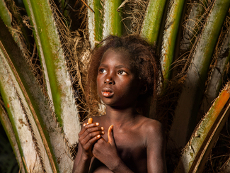 My playground Color Awards Winners and Nominees