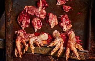 Shocking Slaughterhouse Waste Color Awards Winners and Nominees