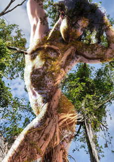 mother nature Color Awards Winners and Nominees