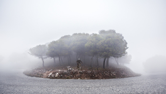 MTB-Spain Color Awards Winners and Nominees